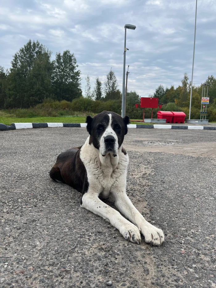 ������������ �����, �������� �� ��������� ��������.