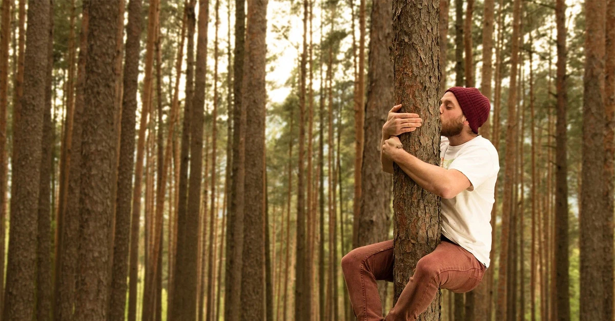 Человек и природа 2024. Сидит на дереве. Мужики на дереве. Мужчина сидит у дерева. Медитация в Сосновом лесу.