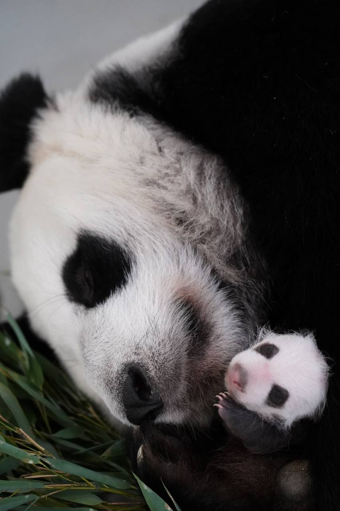 Мамина любовь растёт не по дням, а по часам