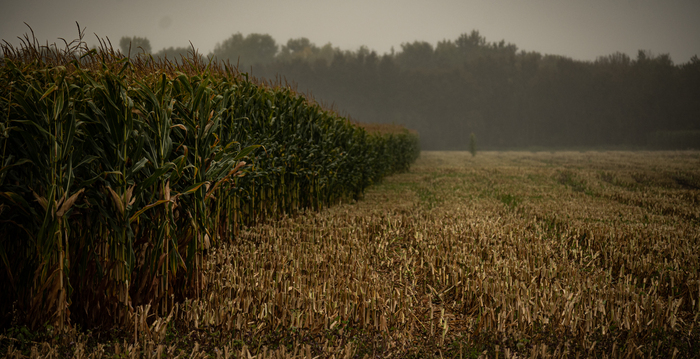 ������������ ����� ����������� ����, �������� ��������� �������. �� ��������. �� �� ��� �����, ���� 100%