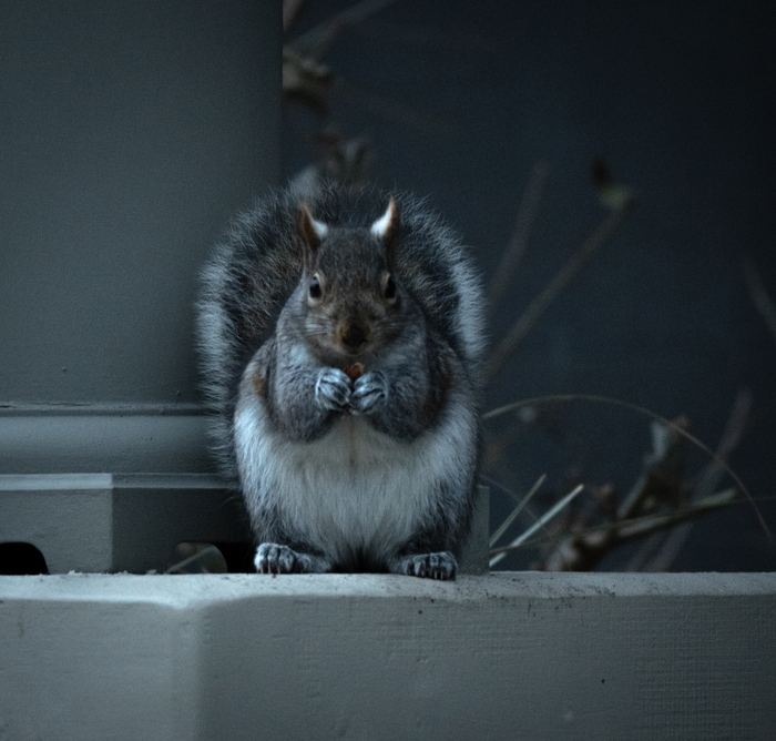 �������� ������ � ����������� �������, � � ���������� ��, � ����������, ����� ����� ��� �������� ����.