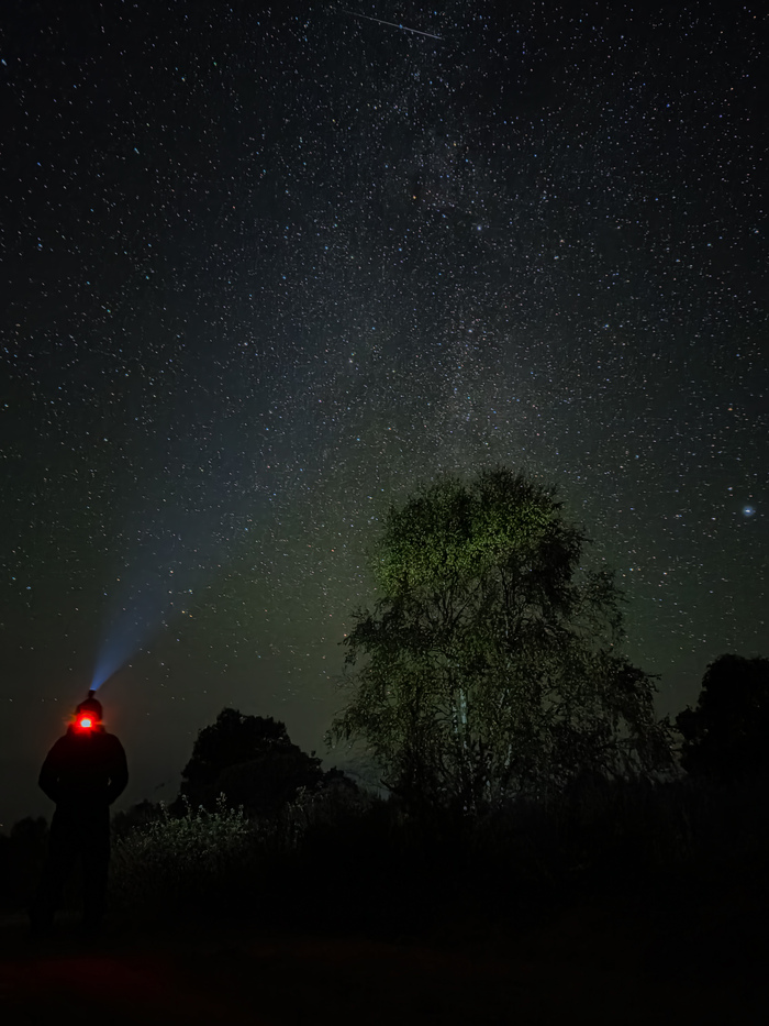 Наблюдая Млечный Путь