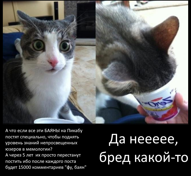 ��� ������� (�����)