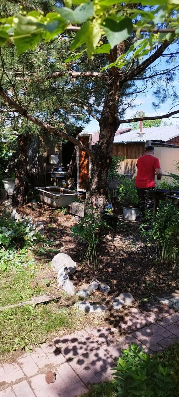 ������� ���� ���������� ����? �� ��� ���) ���������, ����� �����, ���������� ����.