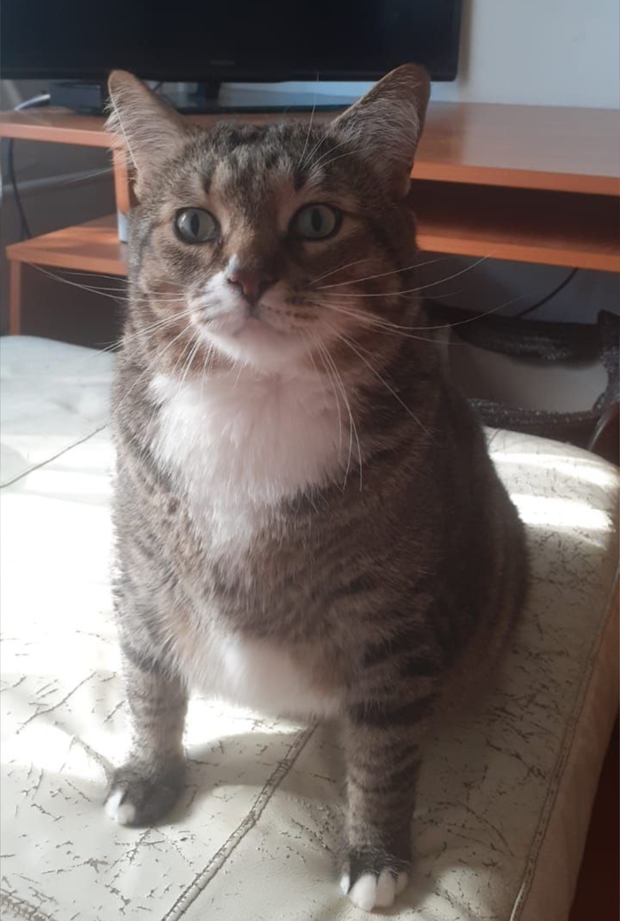 ��� �� ������?