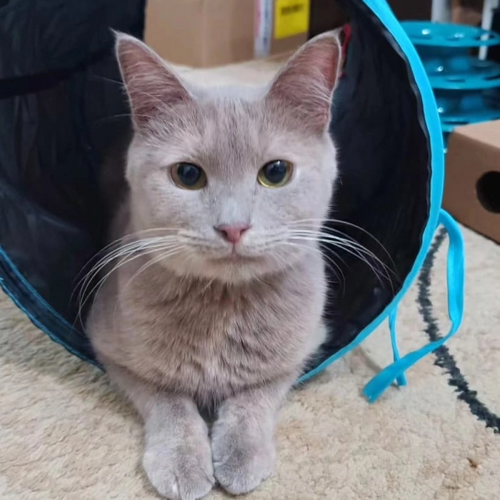      -      , ,   , , , ,  , ,  , ,   ,  ,  , ,  ,  , ,  