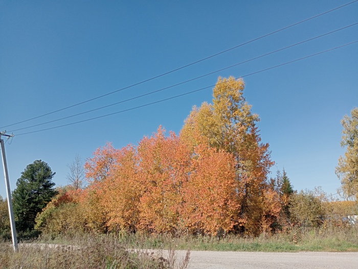 Золотая осень