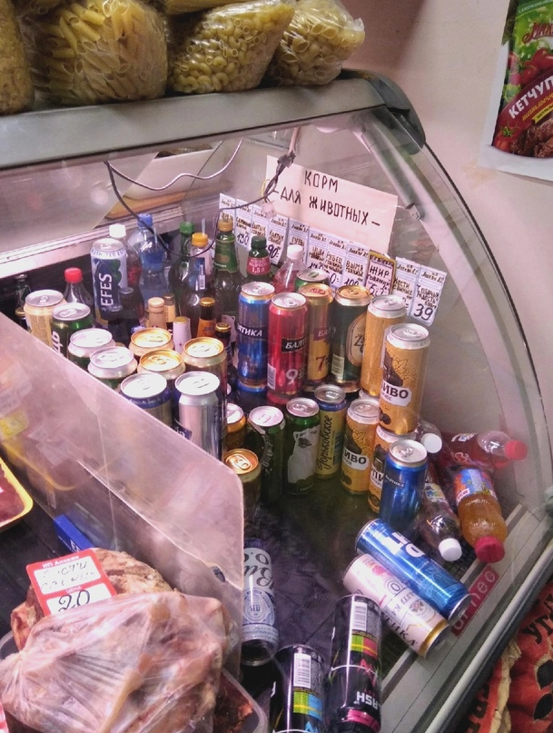 ���� ����� �� �������