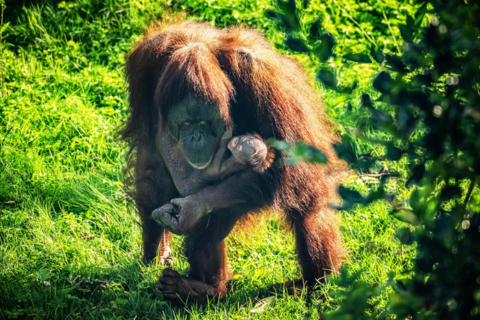 �������������� ��������� � ������� �����������, ������� ��� �� �������������, ��� � �� ������������ ����������� �������.