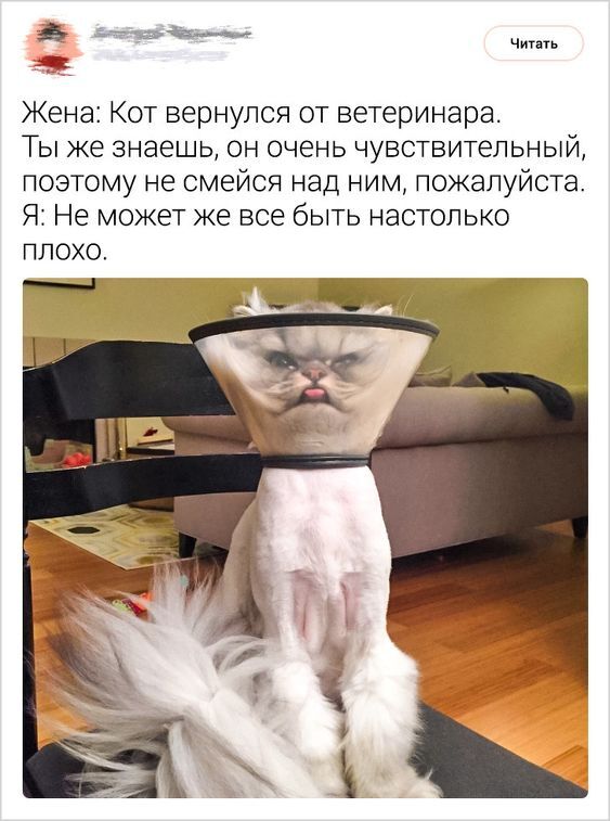 И смех и грех