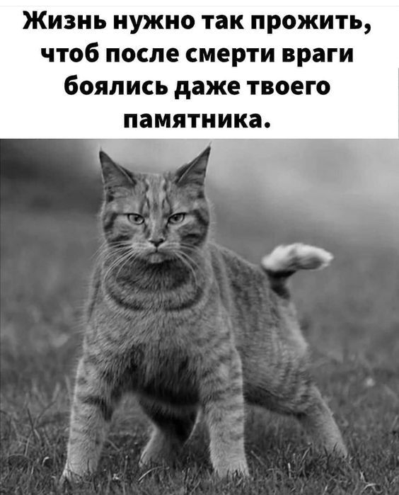   , ,   