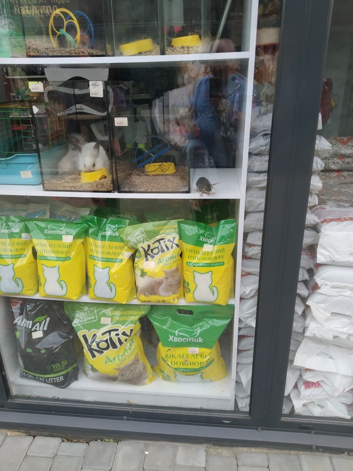 ������ �������� ���� ....����� � ������������ 🧀🥩🥫🍕🍟