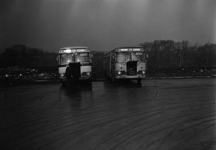   , - , Leica, , 