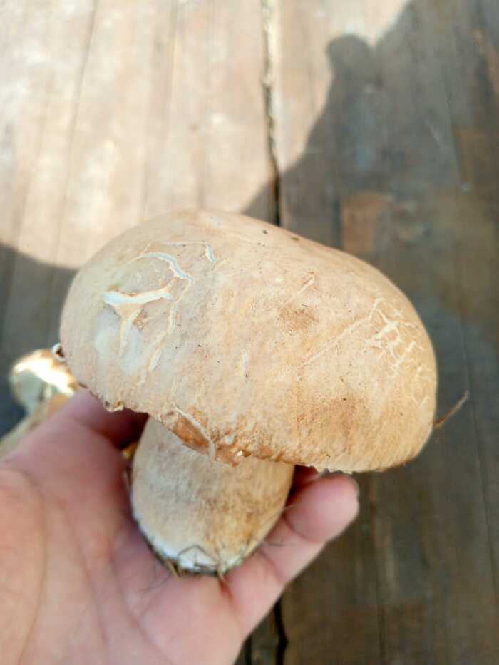 ��� �� ����?