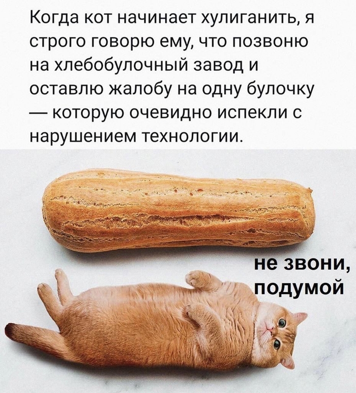  ,   , , , , , 