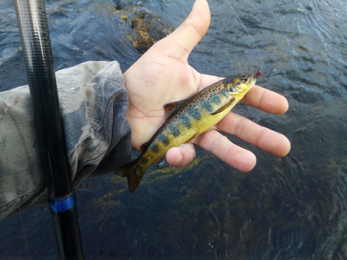 ��� ����������, �� ����� ��������