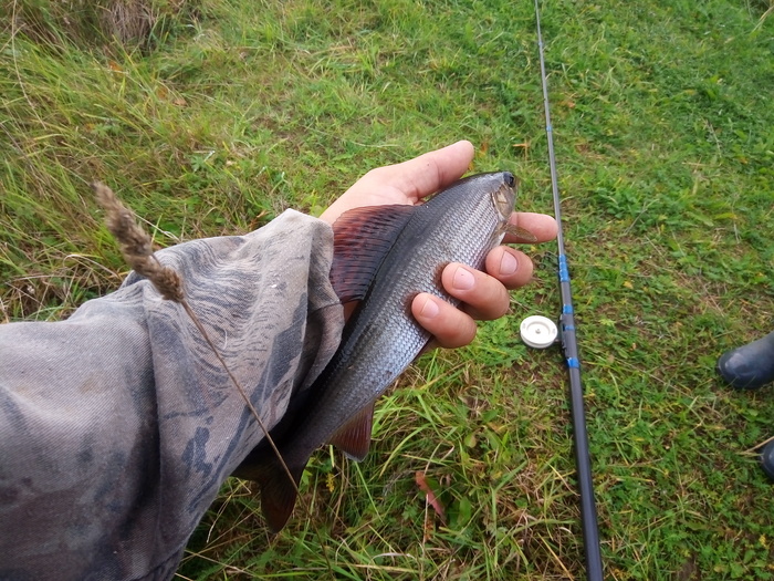 �������� ������