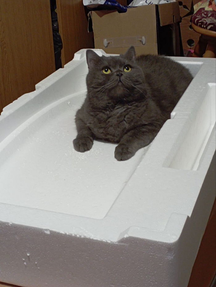 теперь приемлемо