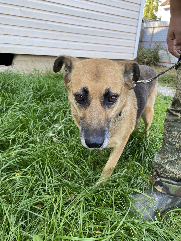 ����������� ����� ������ ������. ������� � �������