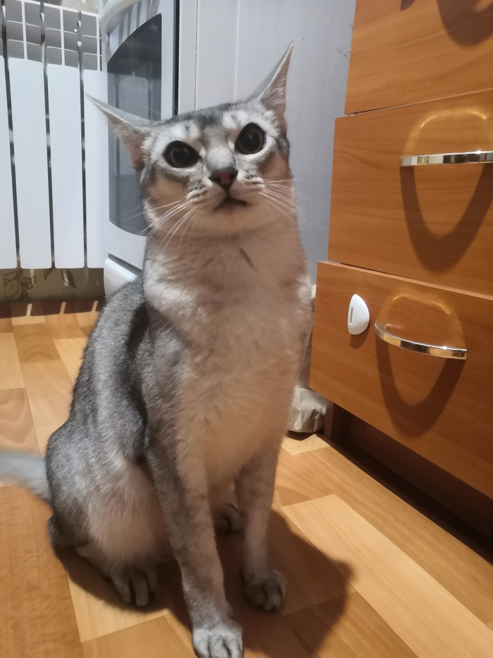 Теперь всё будет так...