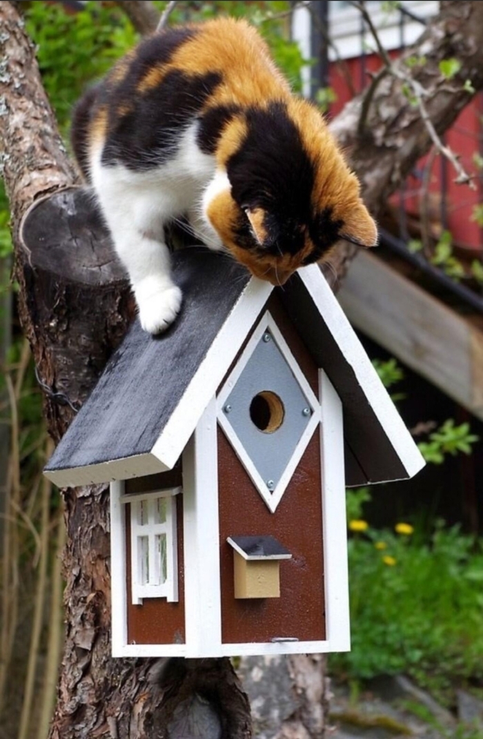 � ����� � ���������� �������-��������