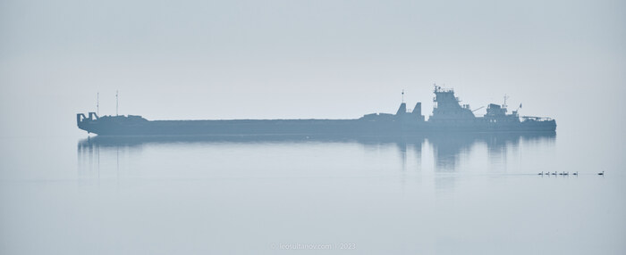 Те же гуси, с баржой во всю длину. Fujinon XF 70-300 mm. Capture One