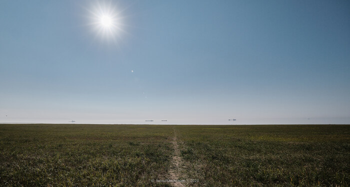 Так выглядит общий кадр с поля. Горизонта нет. Fujinon XF 8-16 mm. Capture One
