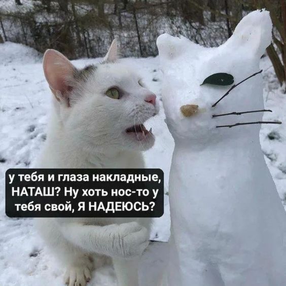 Тюнингованная девушка