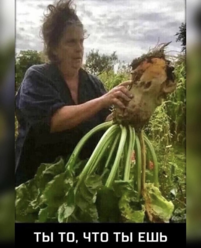  ,    ,   , 