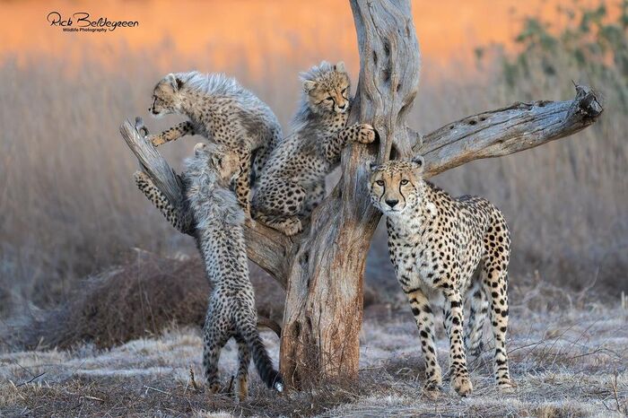 Детский игровой комплекс