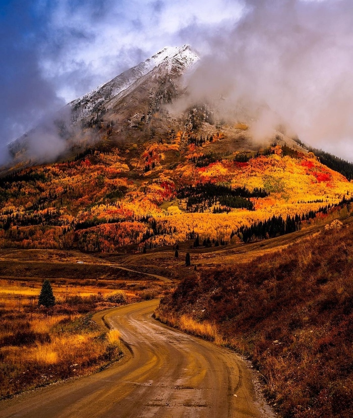 Колорадо, США Фотография, Природа, Красота, США, Колорадо, Дорога, Горы, Лес, Осень
