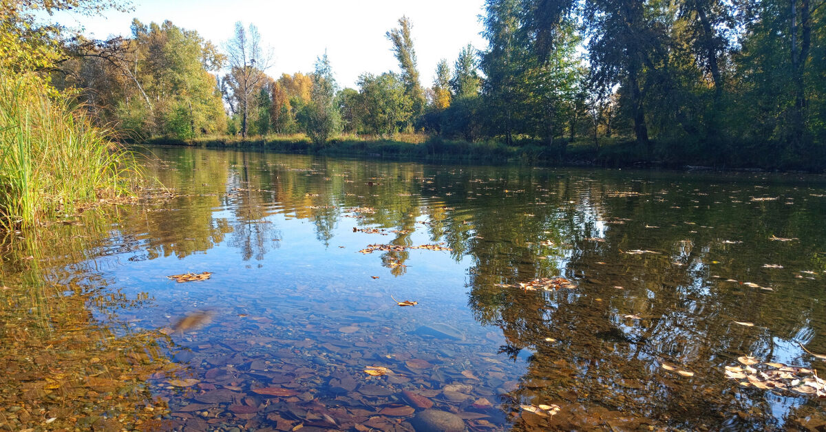 Пруд в Сибири. Сибирский пруд Вологда. Восточная Сибирь водоемы. Чистые пруды Сибири село верх-Балта.