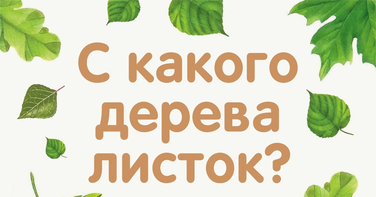 С какого дерева листок. Плакат с какого дерева листок.