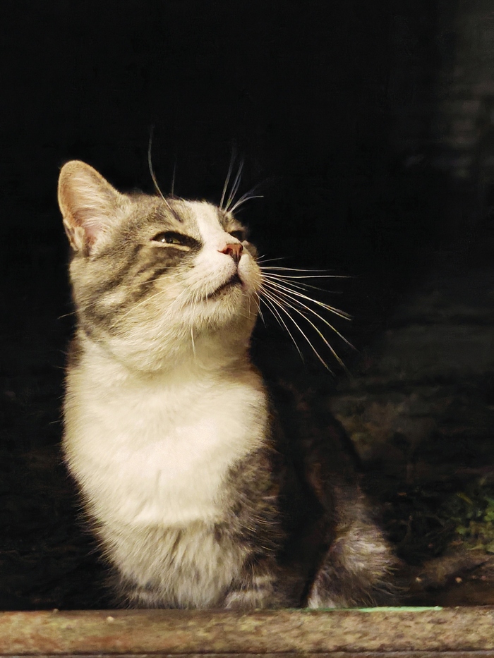 Фотографирую, пока фотографируется)