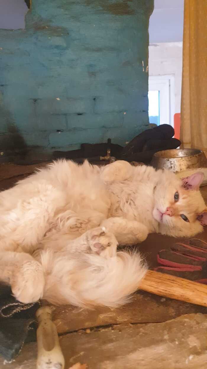     ...) , , , , 