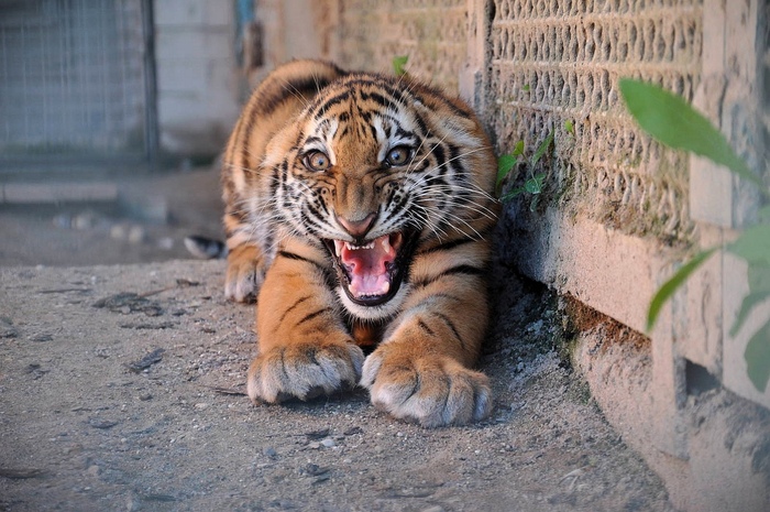  , 2013 ,     (     )