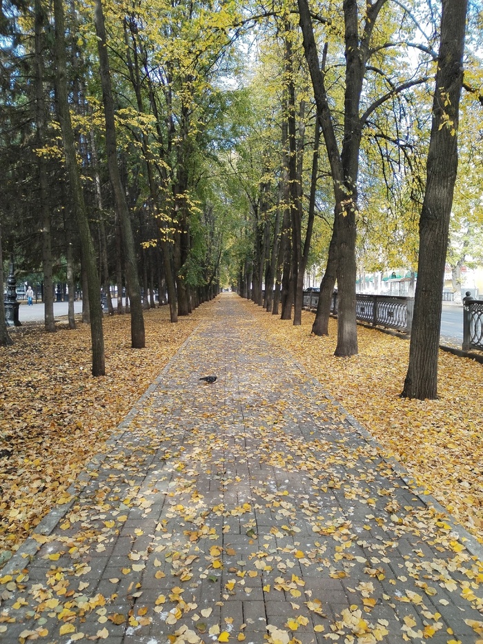 �������� ������� �������� ��� ����