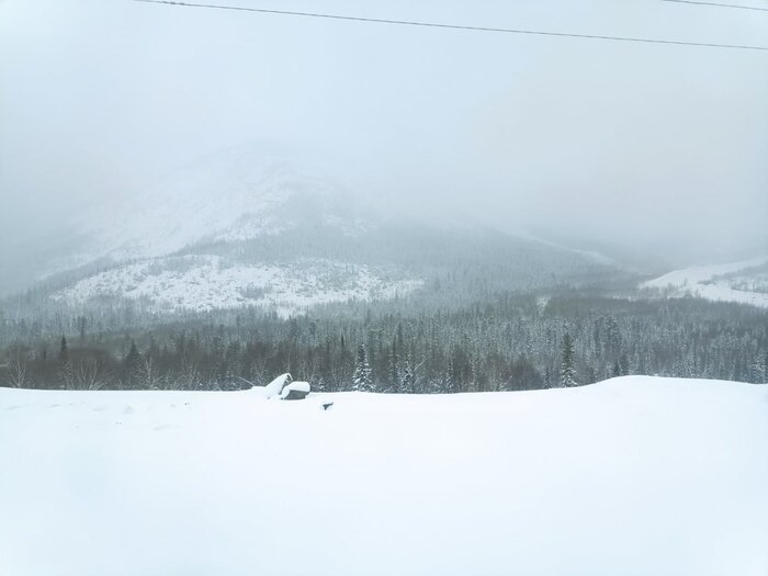 ��������� ��������������� ������������: ��� � ����� ������ ������ � ����� 61 ������