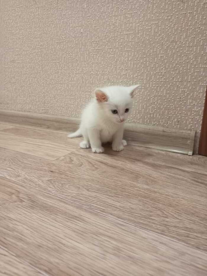 Я не понимаю как жить эту жизнь.