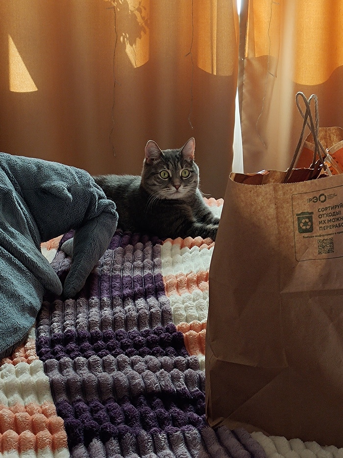 "��� ���, ��� ����� ���?" � ��� ���