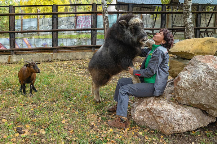   ,        -   .          ,     .