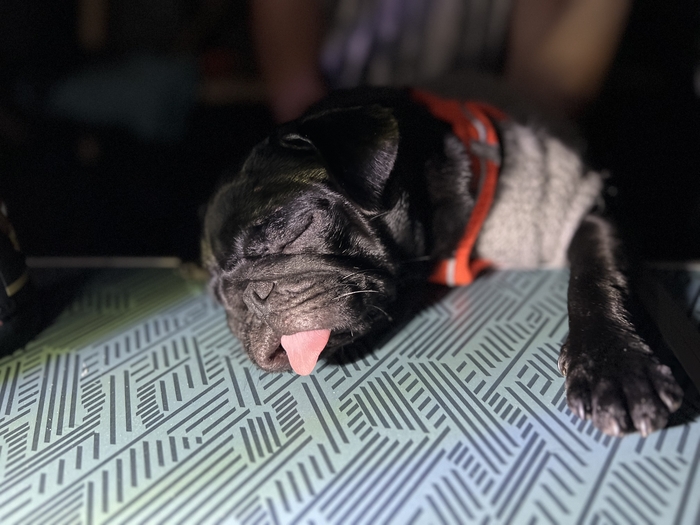 Продолжение поста «Вы что там, жрёте, что-ли?!»