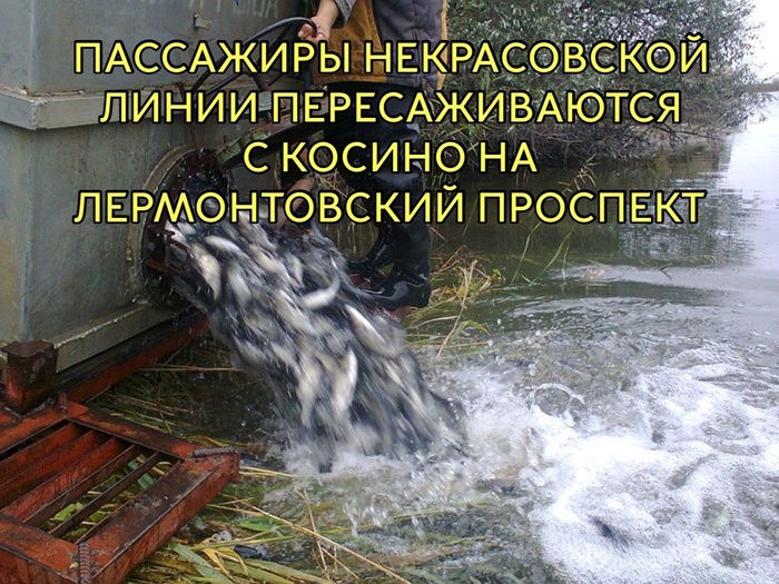 Нижегородская: Ну-да ну-да, пошёл я нахер