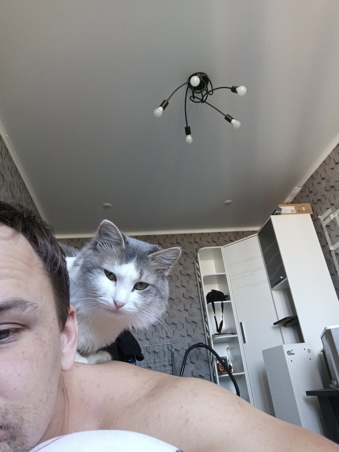  , ,  ,  