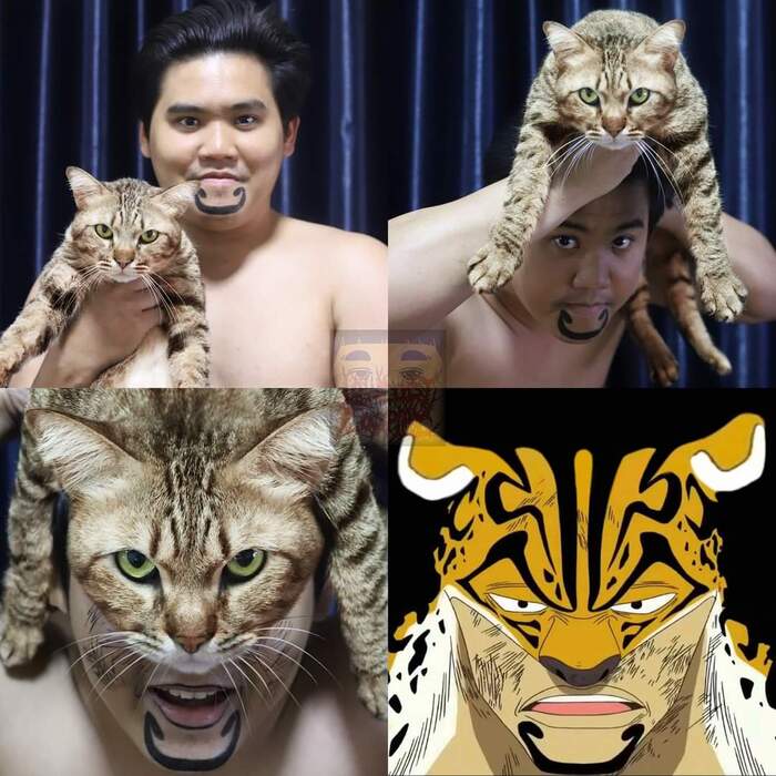   Lowcost cosplay, One Piece, 