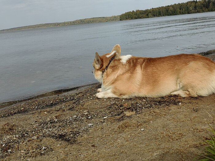 �������� ������� ��� �������� ����� ������������ ��������! � ����� �� ������, ��� � ����-�� ���� �� ������ �����...)