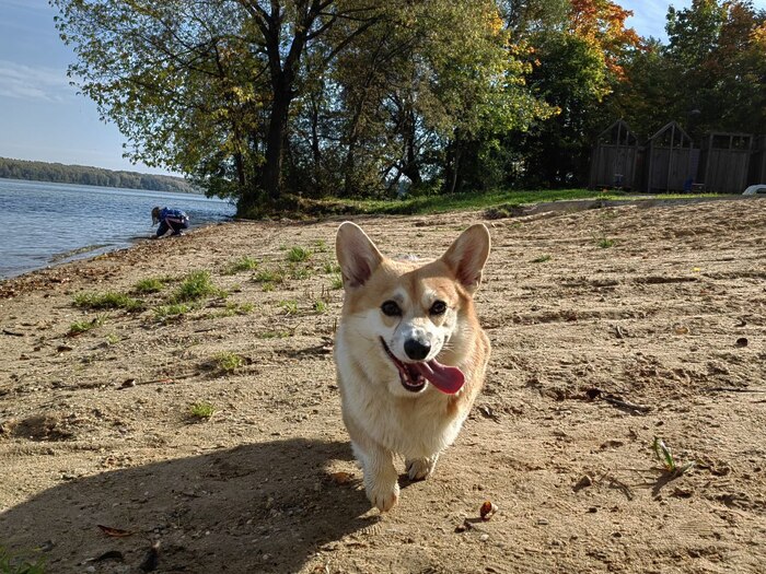 ���� ����� "�� ���", ������ ����� ���������. � ���� ��������� ����� � ��������� ������ ����������� � �������.