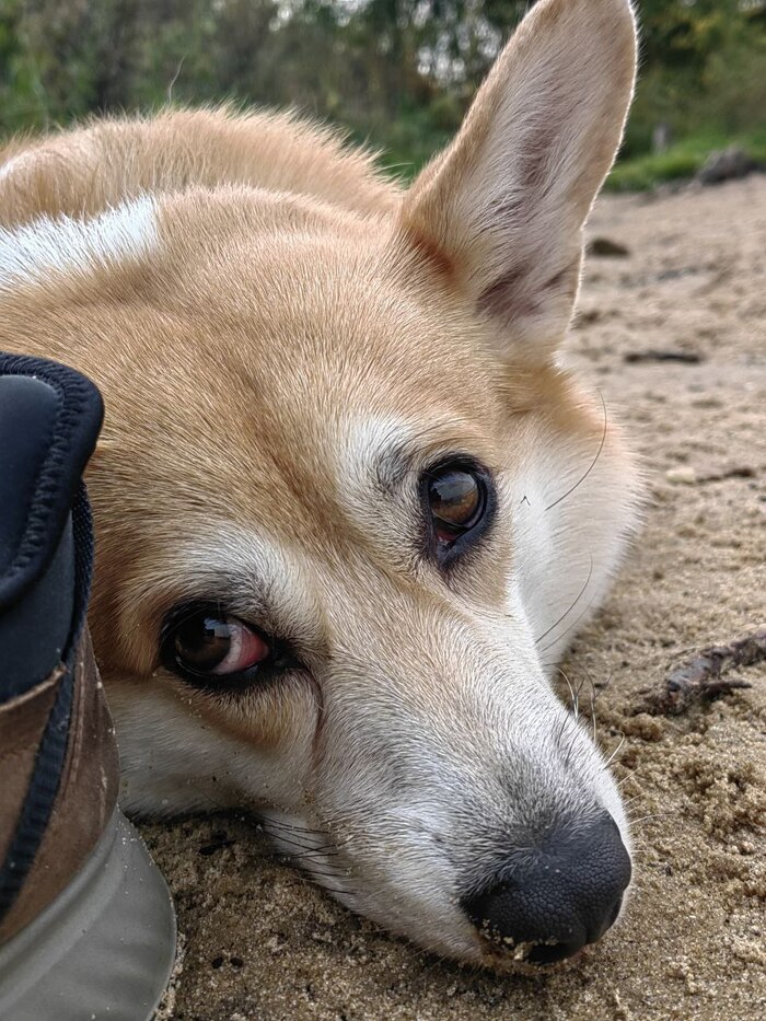 �, ��� � �����, ������...���� �� ����� � ���� �� �����!