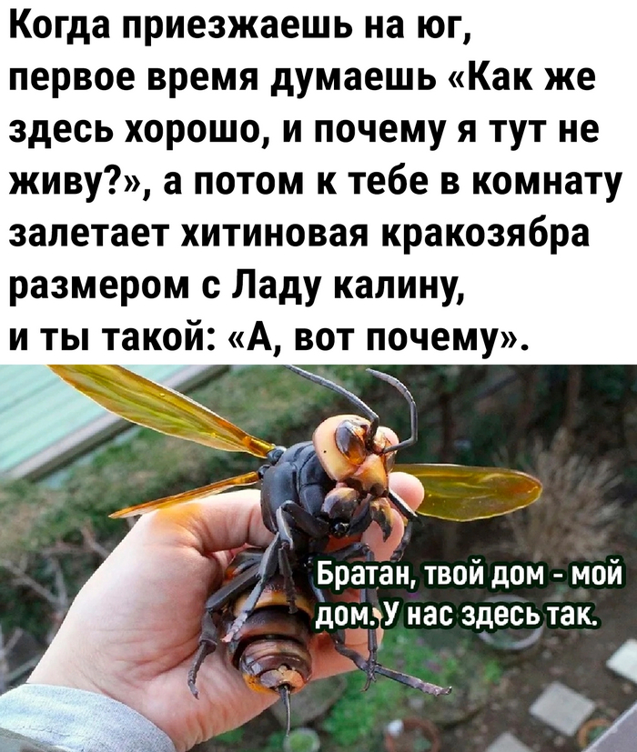 ,   ,   , , , 