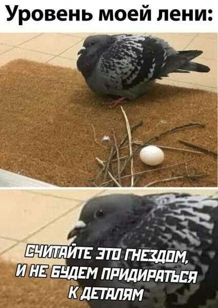   , ,  ,   
